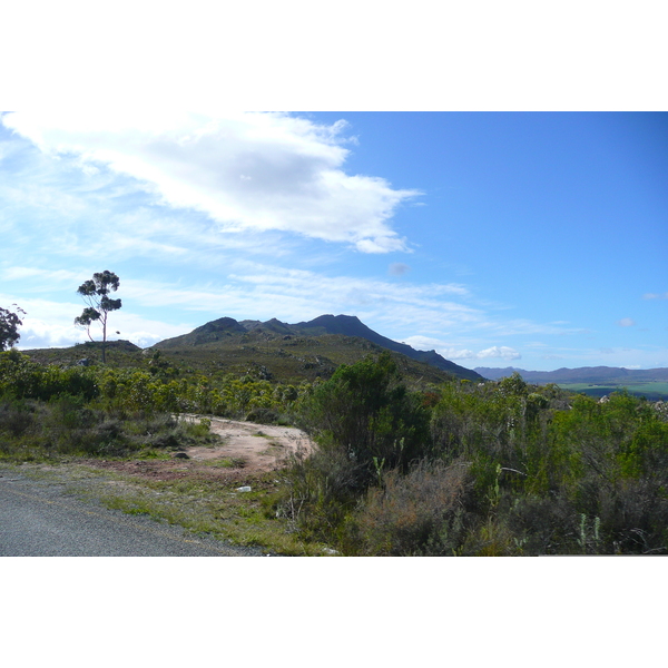 照片 南非(South Africa) 赫曼努斯至克尼斯纳公路(Harmanus to Knysna road) 2008-09 36