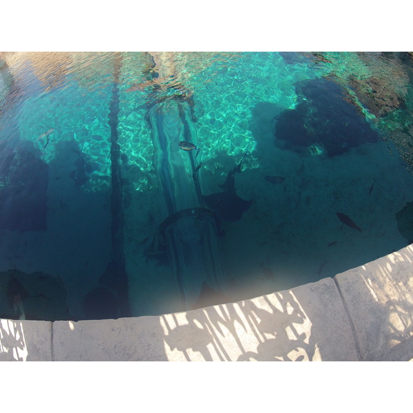 照片 阿联酋(United Arab Emirates) 迪拜(Dubai) 迪拜水世界(Dubai Aquaventure) 2012-01 55