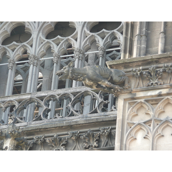 照片 德国(Germany) 科隆(Cologne) 大教堂(Cathedral) 2007-05 185