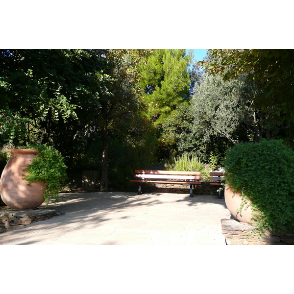 照片 法国(France) 尼斯(Nice) 凤凰公园(Phoenix Parc) 2007-10 79