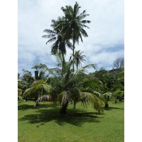照片 塞舌尔(Seychelles) 大姐妹岛(Grande Soeur) 2011-10 96