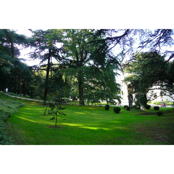 照片 法国(France) 巴黎(Paris) 巴黎植物园(Jardin des Plantes) 2007-08 165