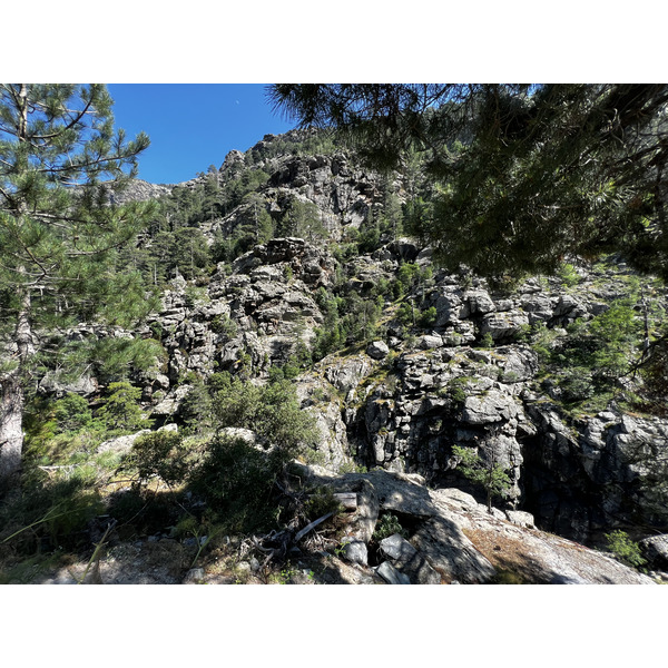 照片 法国(France) 科西嘉岛(Corsica) 阿斯科(Asco) 2023-06 29