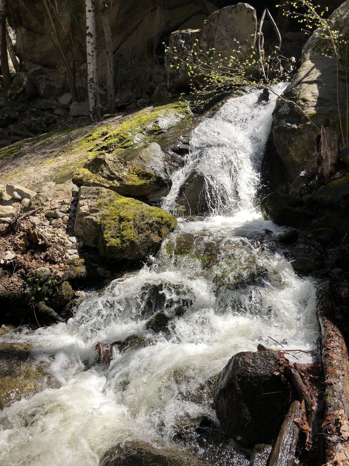 照片 法国(France) 卡尼古圣马丁修道院(Abbaye Saint Martin du Canigou) 2018-04 85