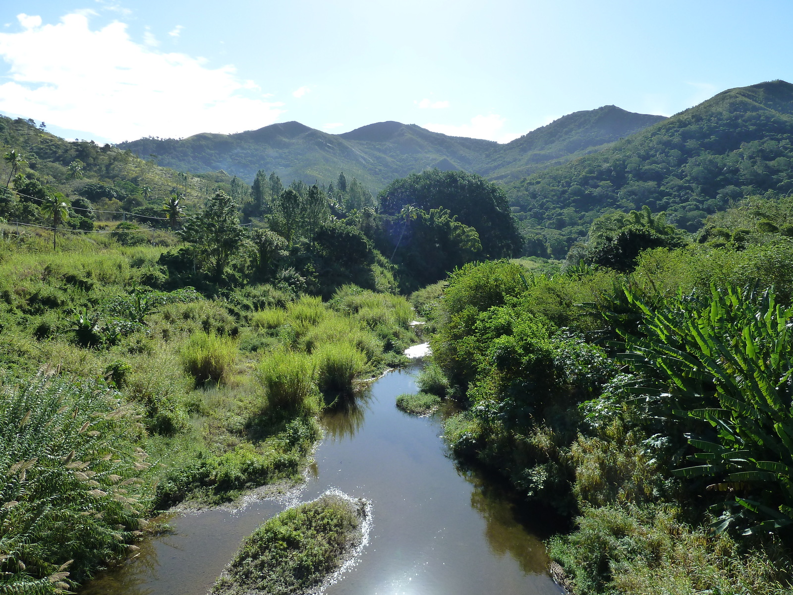 照片 新喀里多尼亚(New Caledonia) 卡纳拉至拉福阿公路(Canala to La Foa road) 2010-05 22