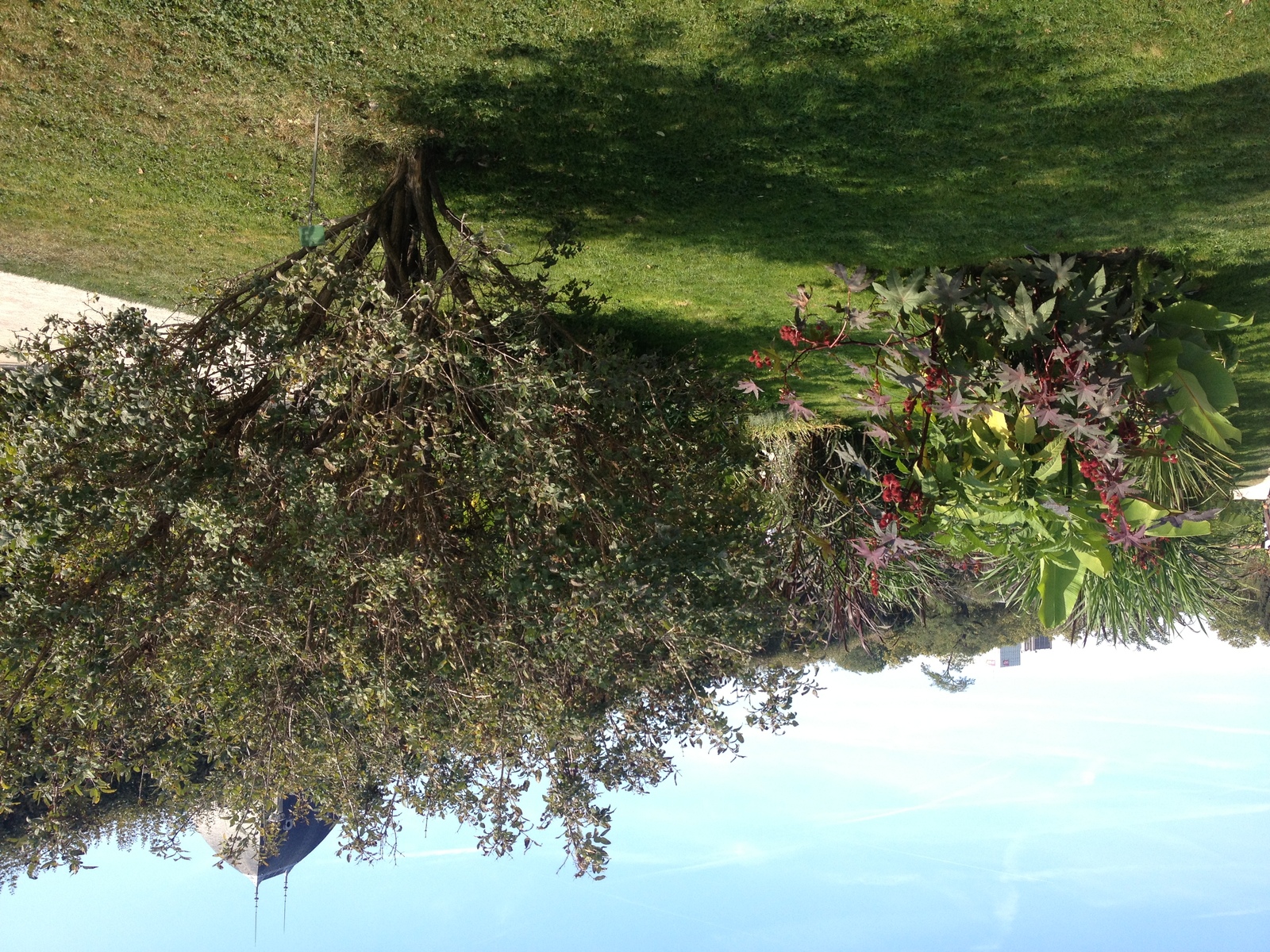 照片 法国(France) 巴黎(Paris) 巴黎植物园(Jardin des Plantes) 2014-09 21
