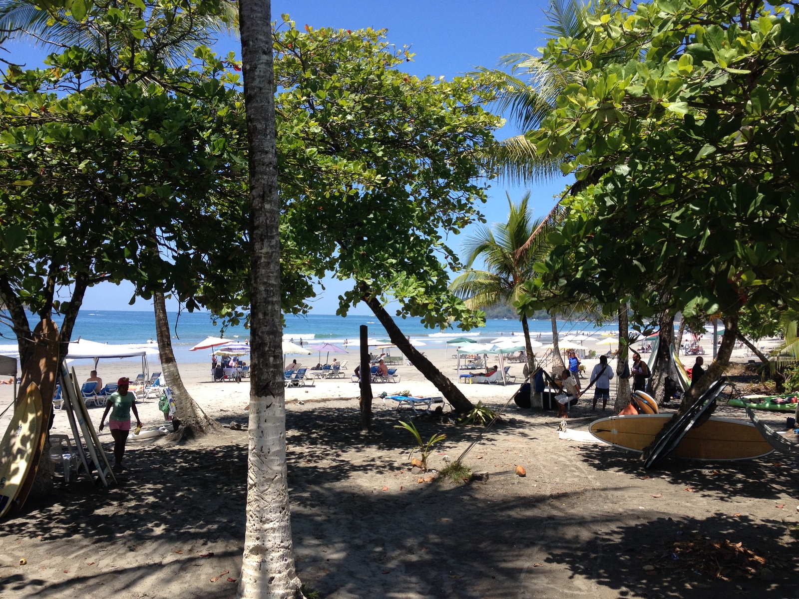 照片 哥斯达黎加(Costa Rica) 曼努埃尔安东尼奥(Manuel Antonio) 2015-03 401