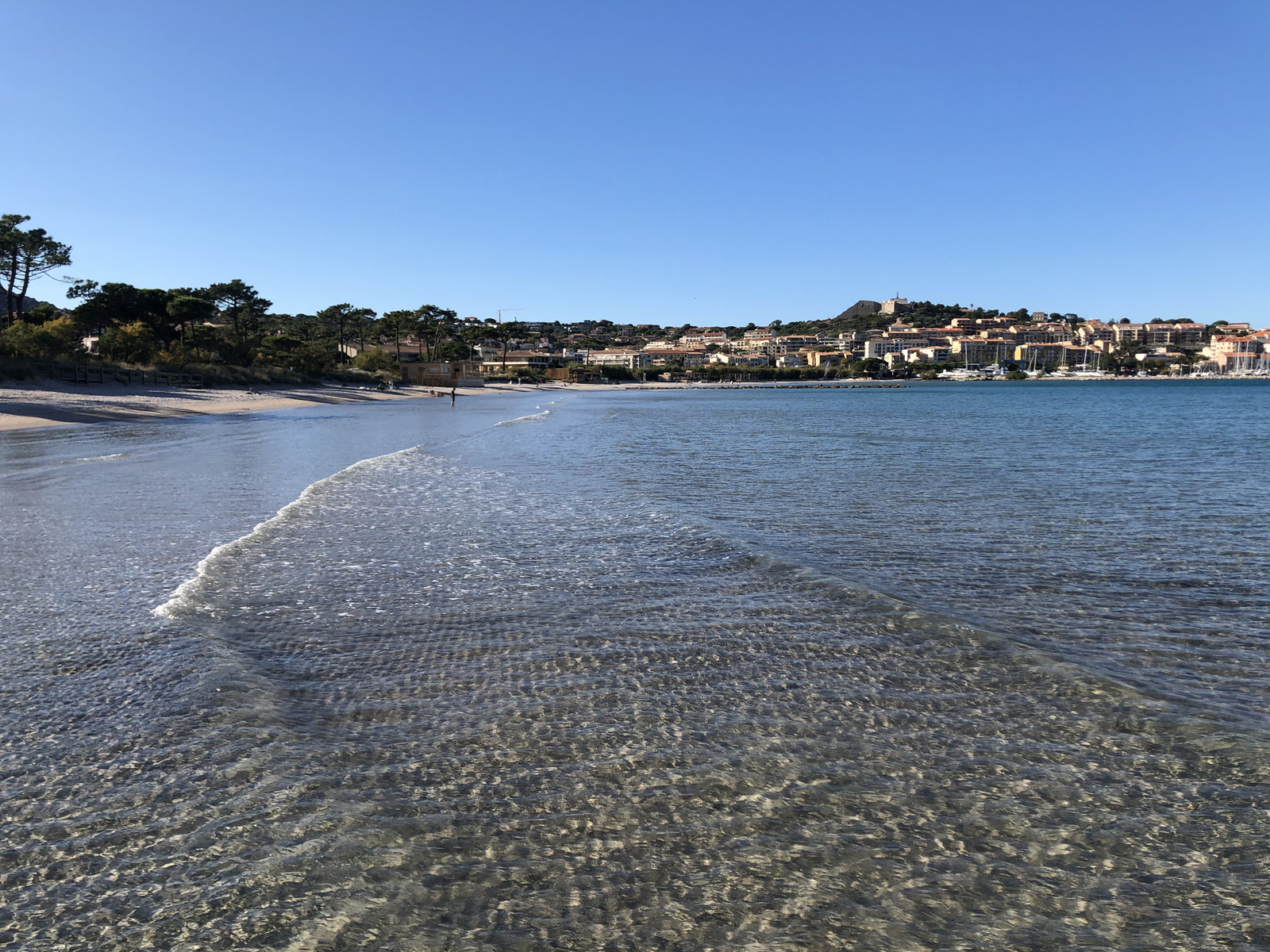 照片 法国(France) 科西嘉岛(Corsica) 卡尔维(Calvi) 2020-10 22
