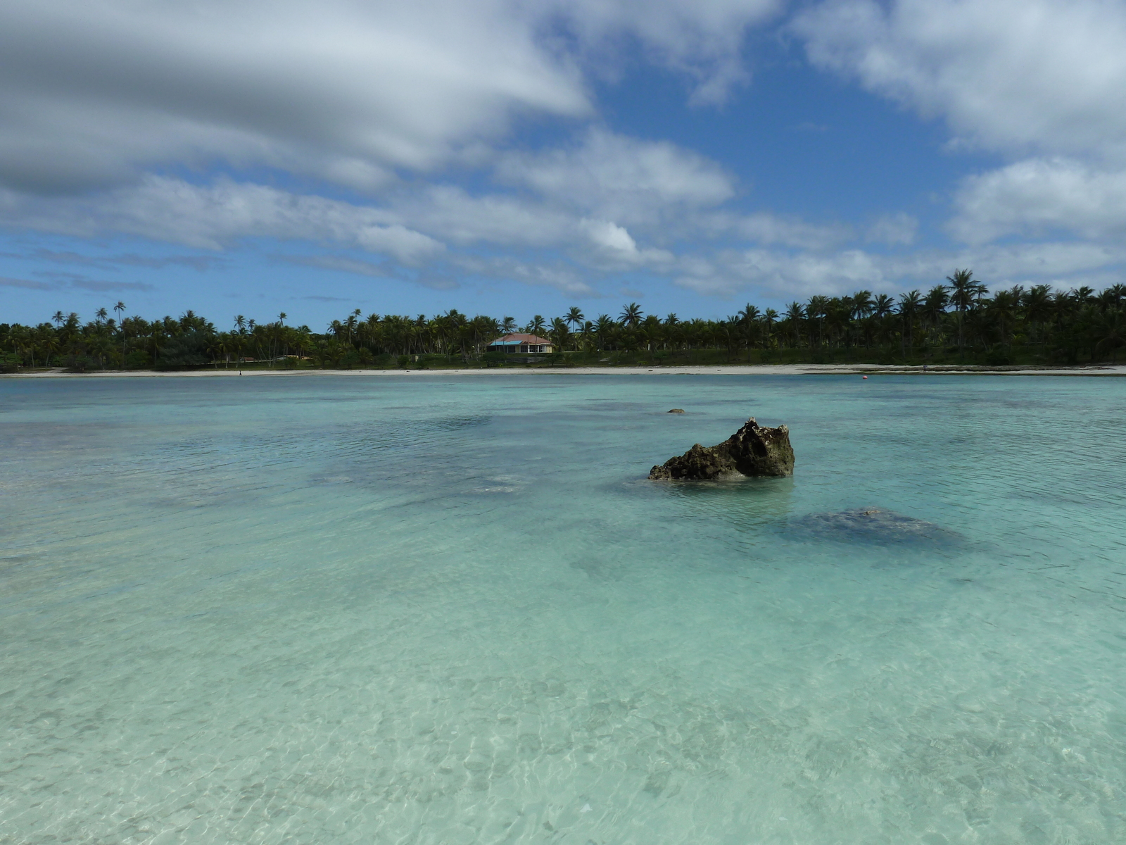 照片 新喀里多尼亚(New Caledonia) 利富岛(Lifou) 海龟湾(Baie des tortues) 2010-05 6