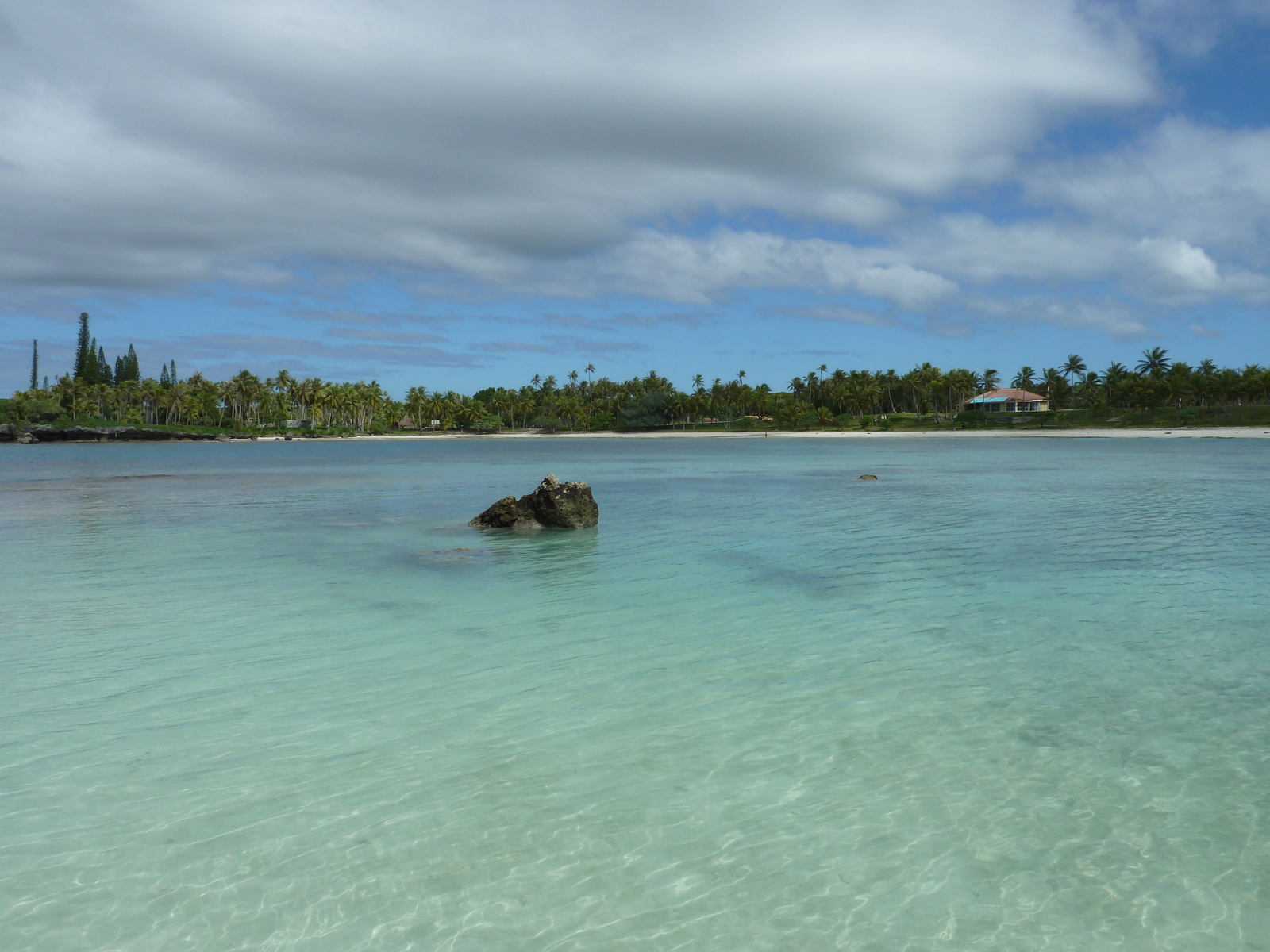 照片 新喀里多尼亚(New Caledonia) 利富岛(Lifou) 海龟湾(Baie des tortues) 2010-05 5