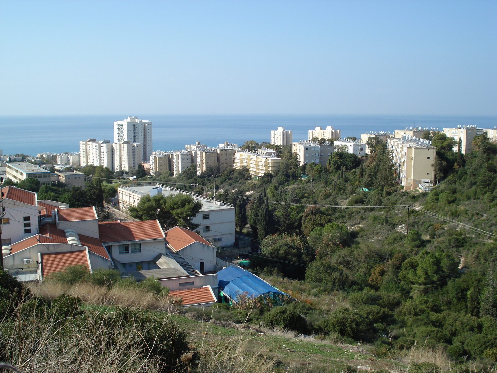 照片 以色列(Israel) 海法(Haifa) 卡梅尔(Carmel) 2006-12 112