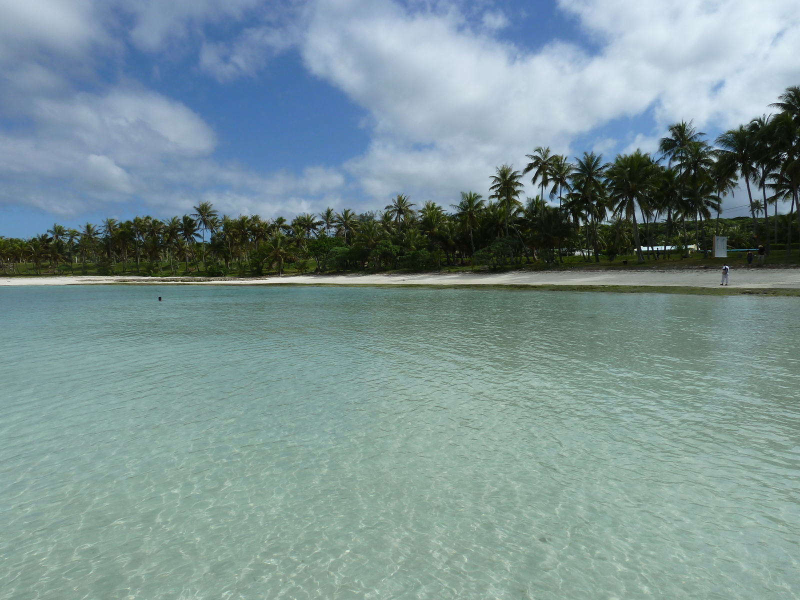 照片 新喀里多尼亚(New Caledonia) 利富岛(Lifou) 海龟湾(Baie des tortues) 2010-05 31