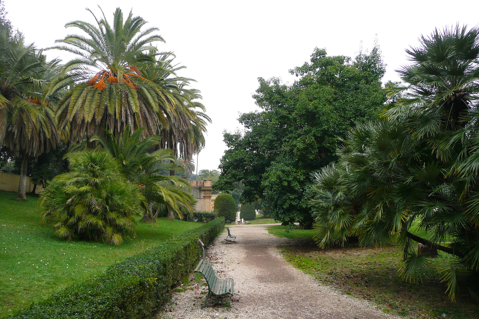 照片 意大利(Italy) 罗马(Rome) 多里亚·潘菲利别墅公园(Villa Doria Pamphili) 2007-11 72