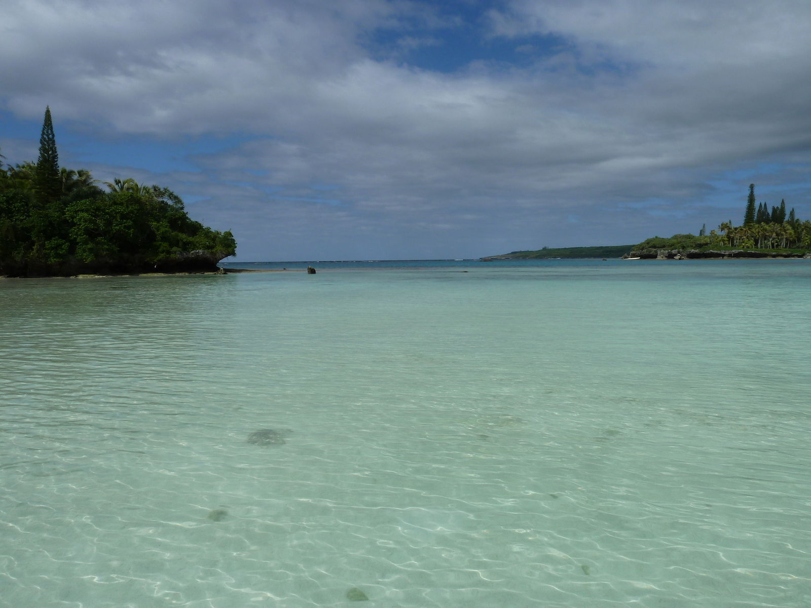 照片 新喀里多尼亚(New Caledonia) 利富岛(Lifou) 海龟湾(Baie des tortues) 2010-05 26