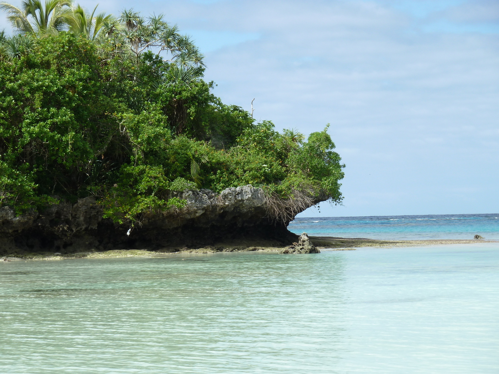 照片 新喀里多尼亚(New Caledonia) 利富岛(Lifou) 海龟湾(Baie des tortues) 2010-05 27