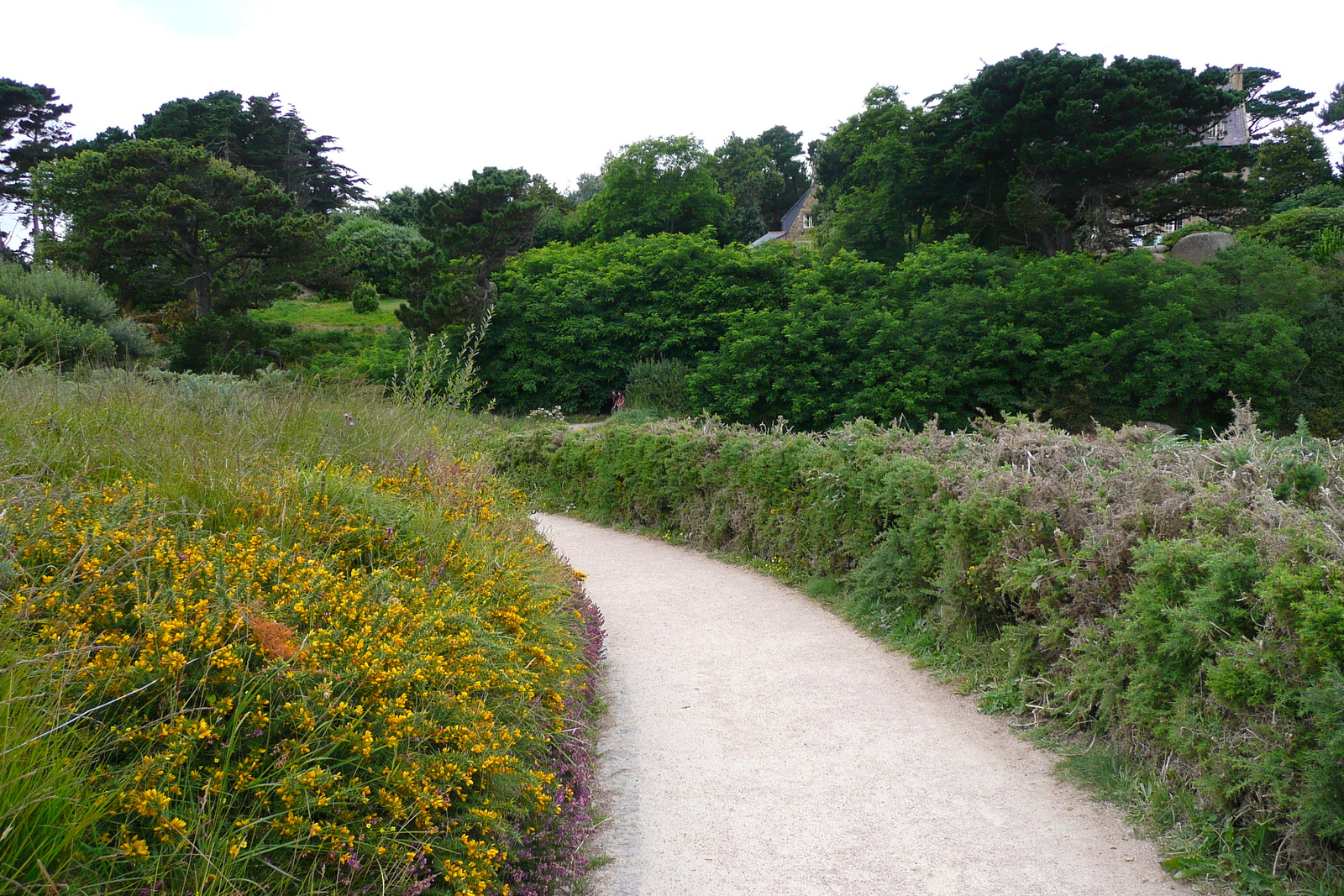 照片 法国(France) 佩罗斯-吉雷克(Perros Guirec) 2007-08 117