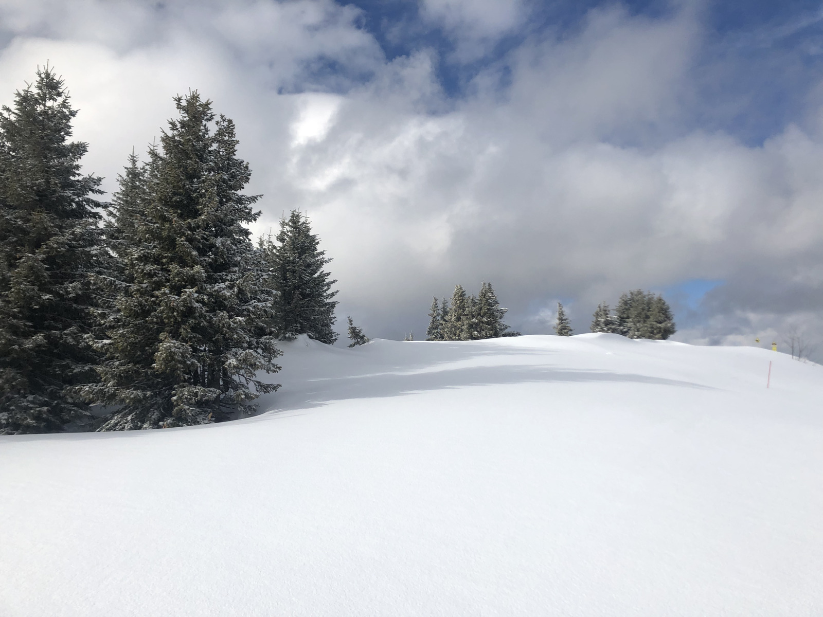 照片 法国(France) 梅杰夫(Megeve) 2019-03 67