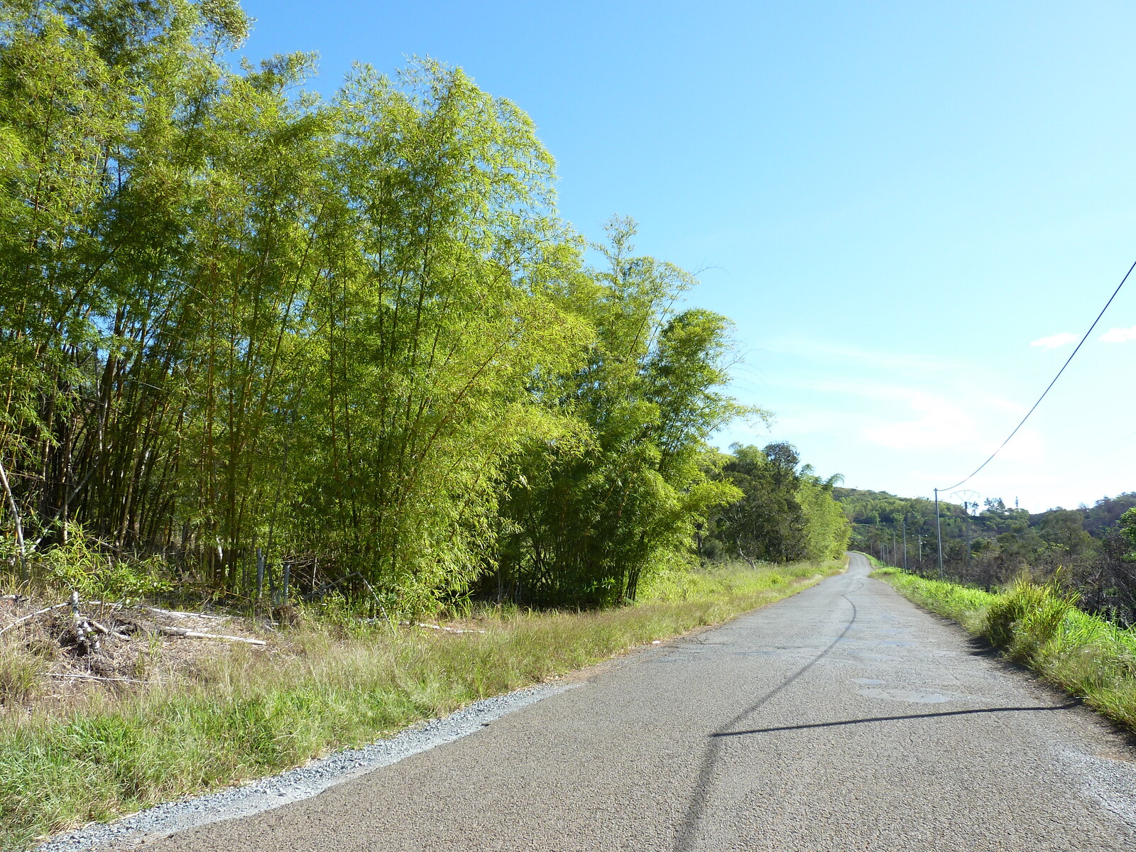 照片 新喀里多尼亚(New Caledonia) 蒂奥至卡纳拉公路(Thio to Canala road) 2010-05 1