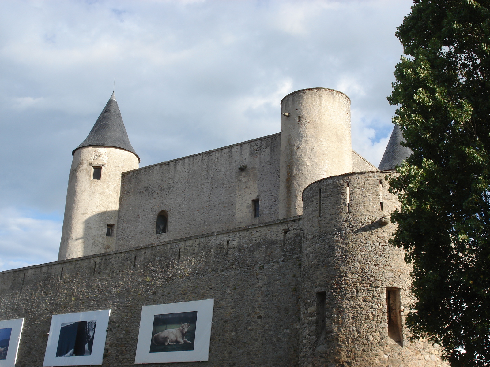 照片 法国(France) 努瓦尔穆捷(Noirmoutier) 2006-08 37