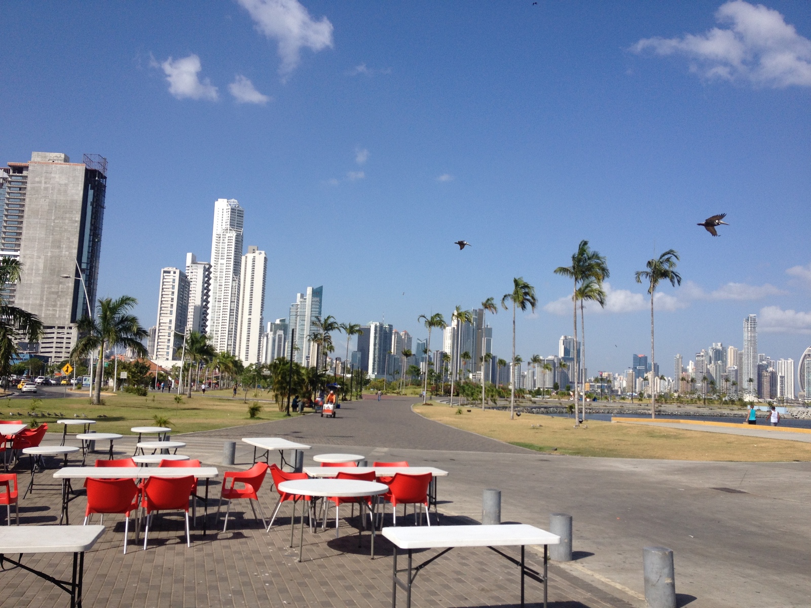 照片 巴拿马(Panama) 巴拿马城(Panama City) 2015-03 107