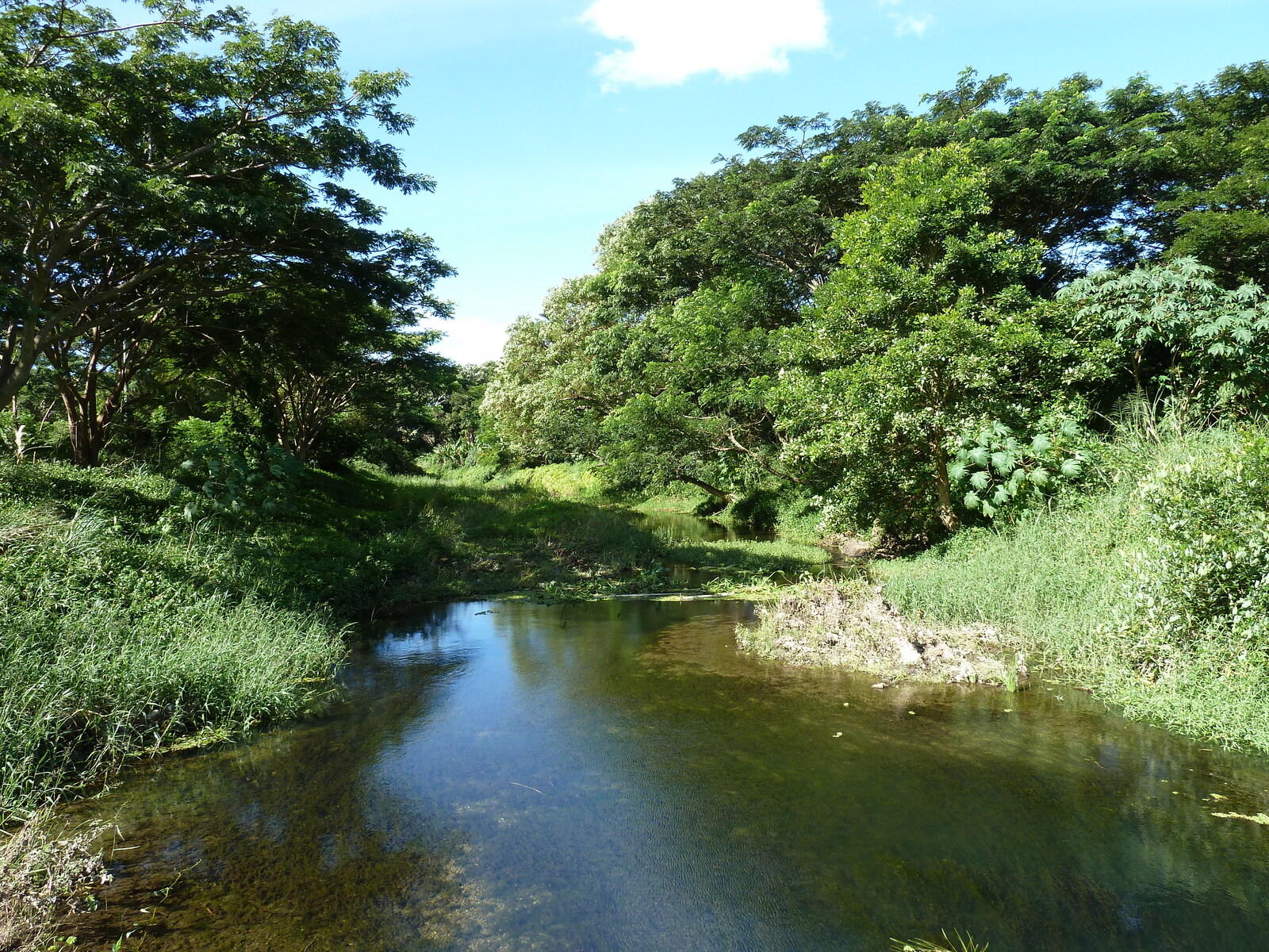 照片 新喀里多尼亚(New Caledonia) 蒂奥至卡纳拉公路(Thio to Canala road) 2010-05 11