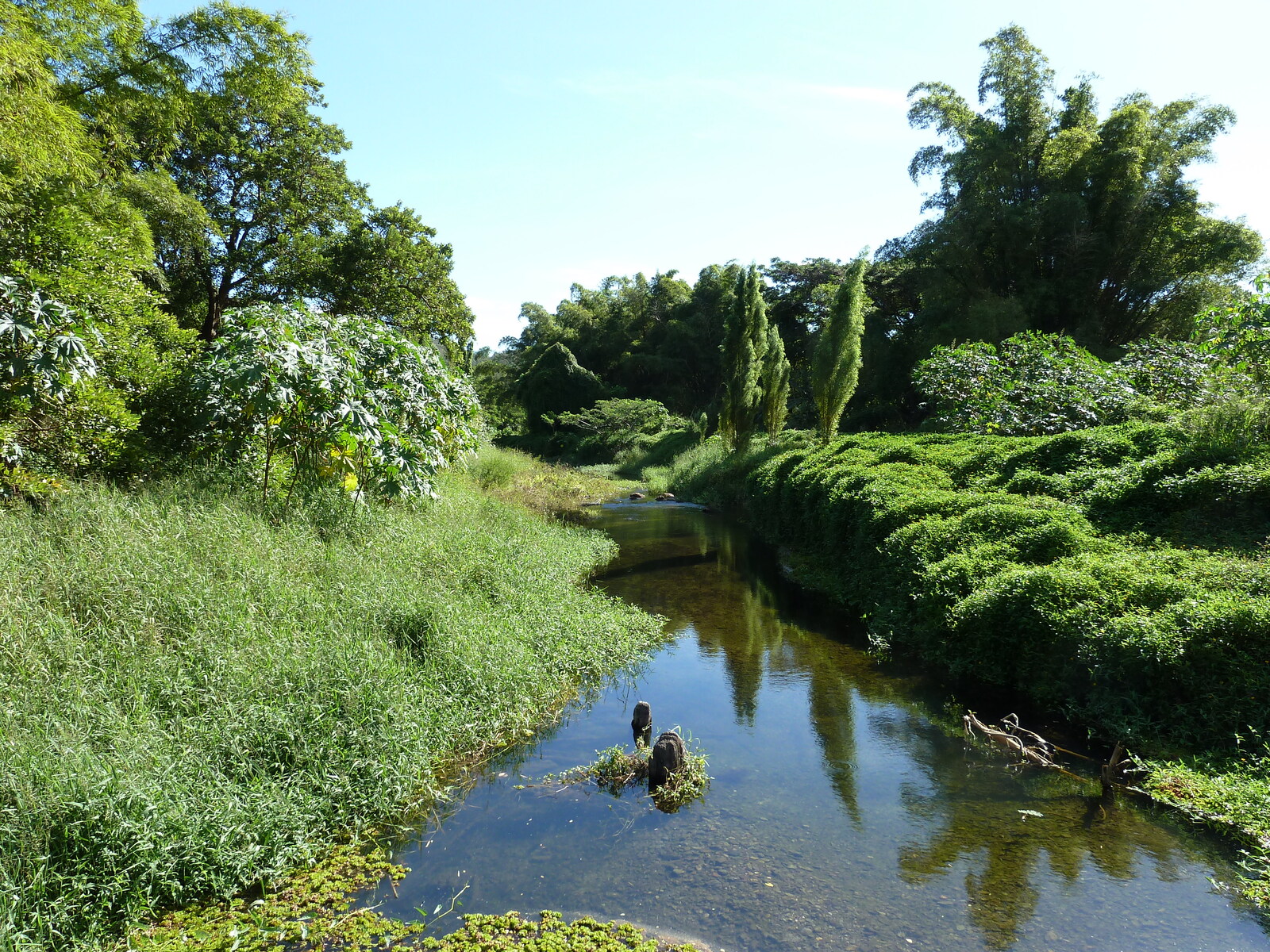 照片 新喀里多尼亚(New Caledonia) 蒂奥至卡纳拉公路(Thio to Canala road) 2010-05 10