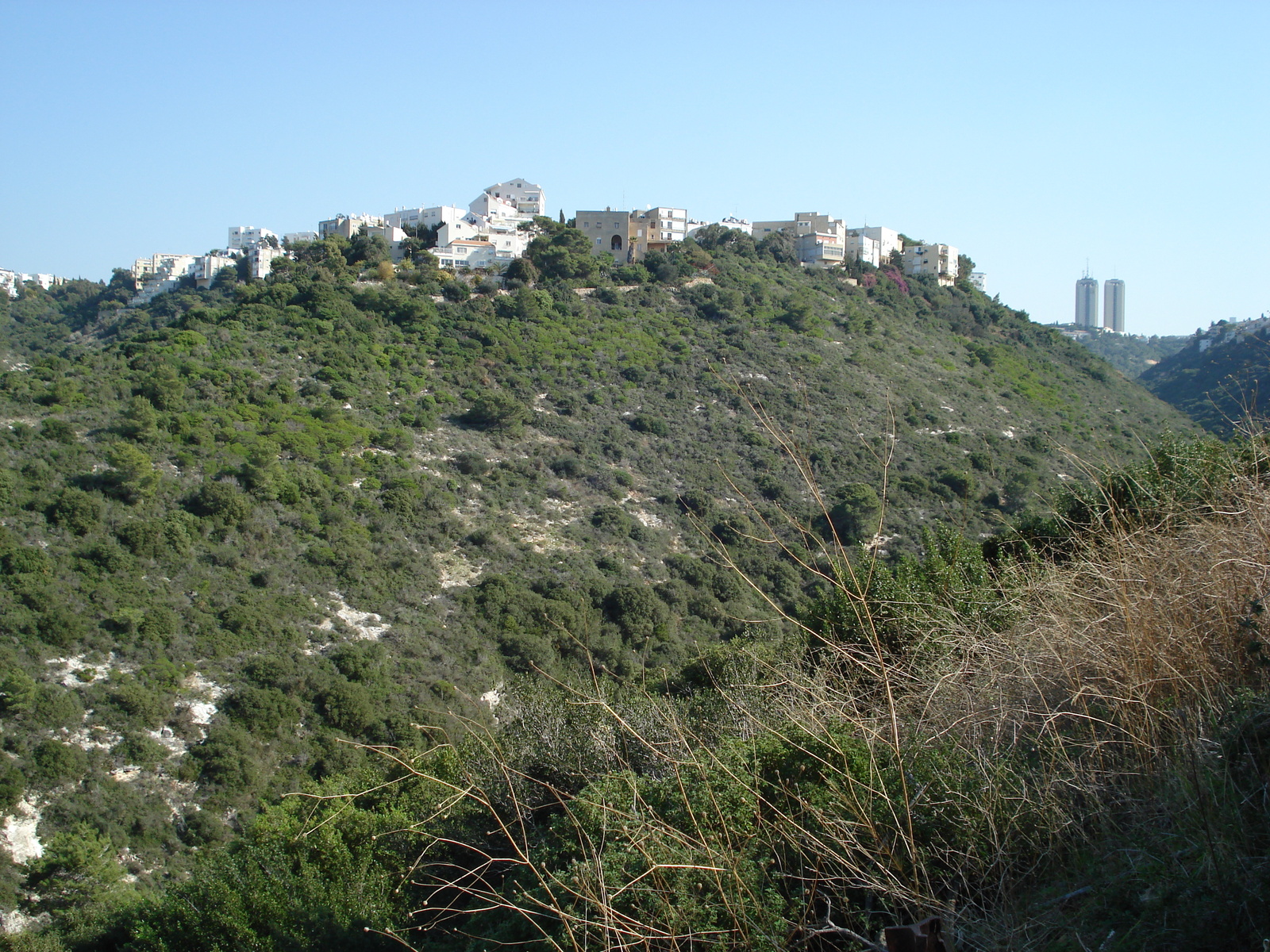 照片 以色列(Israel) 海法(Haifa) 卡梅尔(Carmel) 2006-12 21