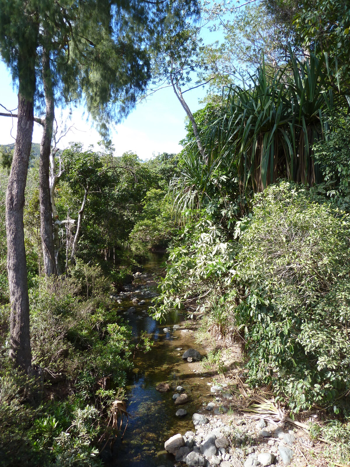 照片 新喀里多尼亚(New Caledonia) 蒂奥至卡纳拉公路(Thio to Canala road) 2010-05 9