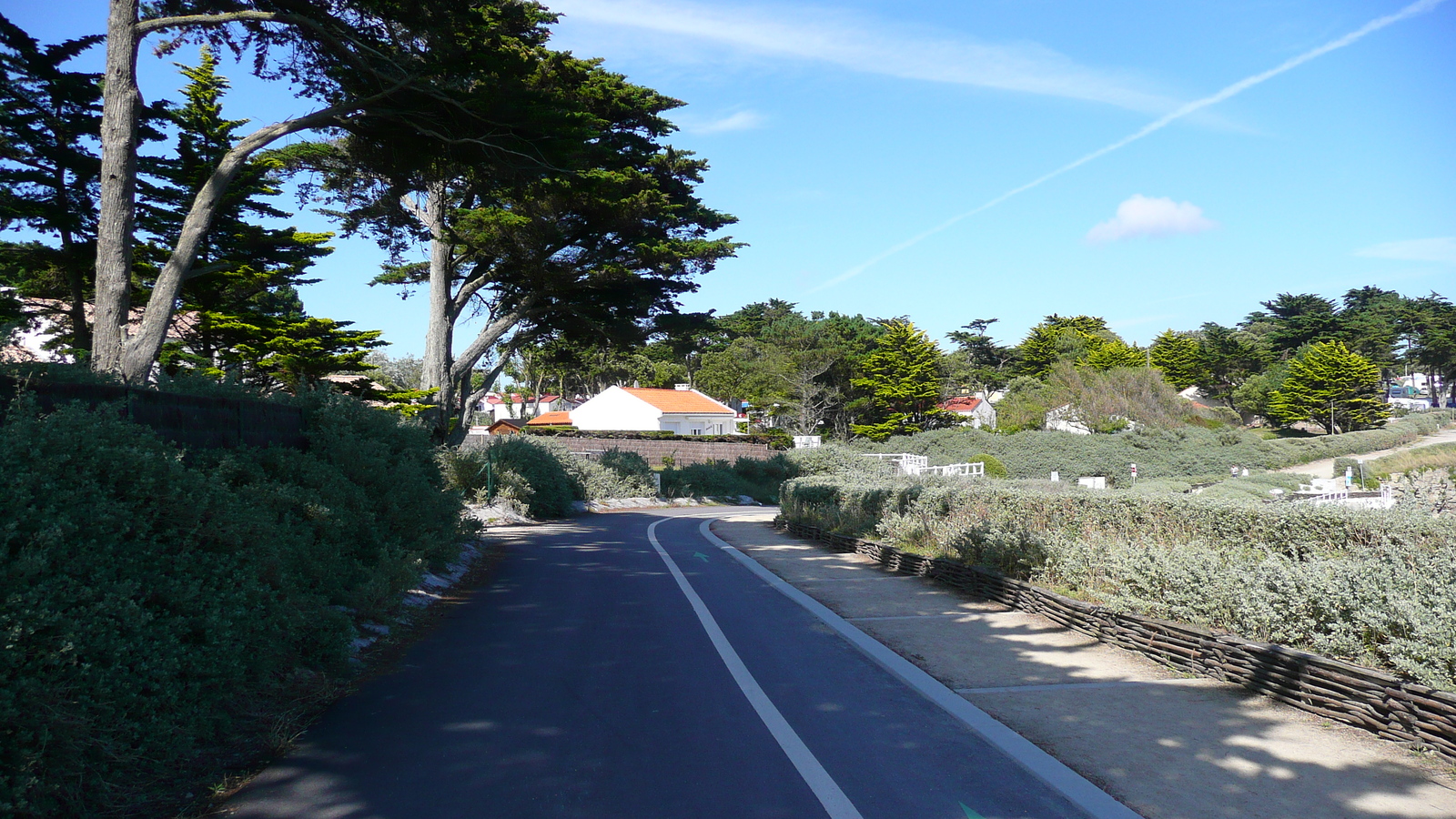 照片 法国(France) 普雷法耶(Prefailles) 圣吉尔达角至普雷法耶(Pointe St Gildas to Prefailles) 2007-07 87