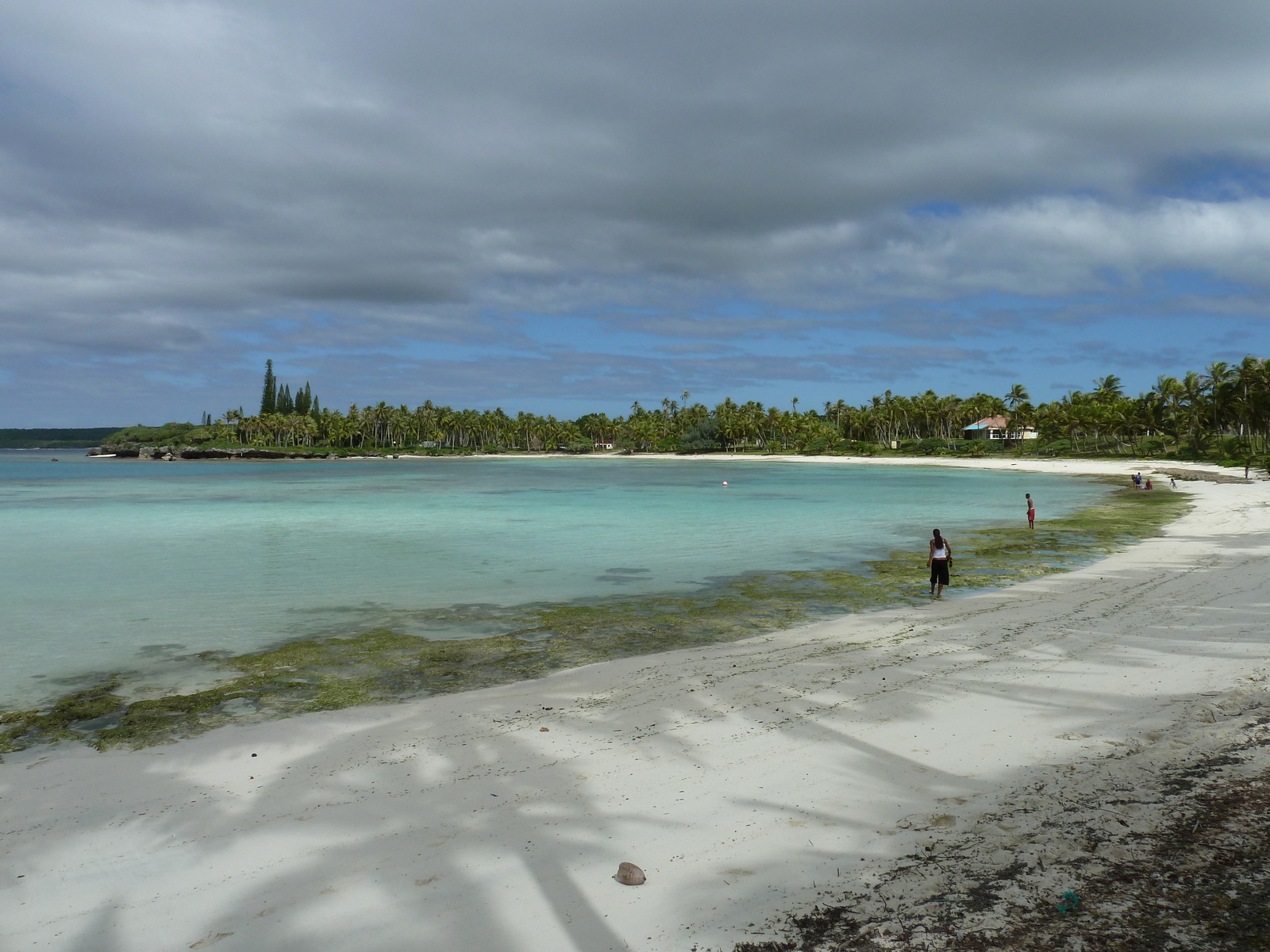 照片 新喀里多尼亚(New Caledonia) 2010-05 79