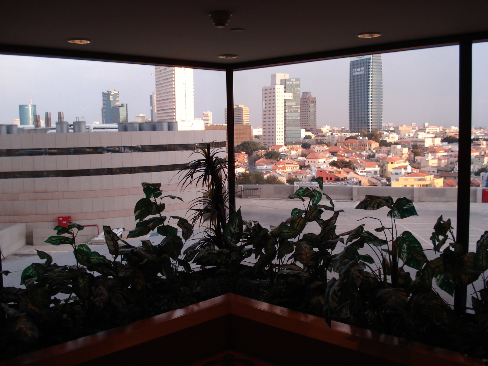 照片 以色列(Israel) 特拉维夫(Tel Aviv) 大卫洲际酒店(David Intercontinental Hotel) 2006-12 16