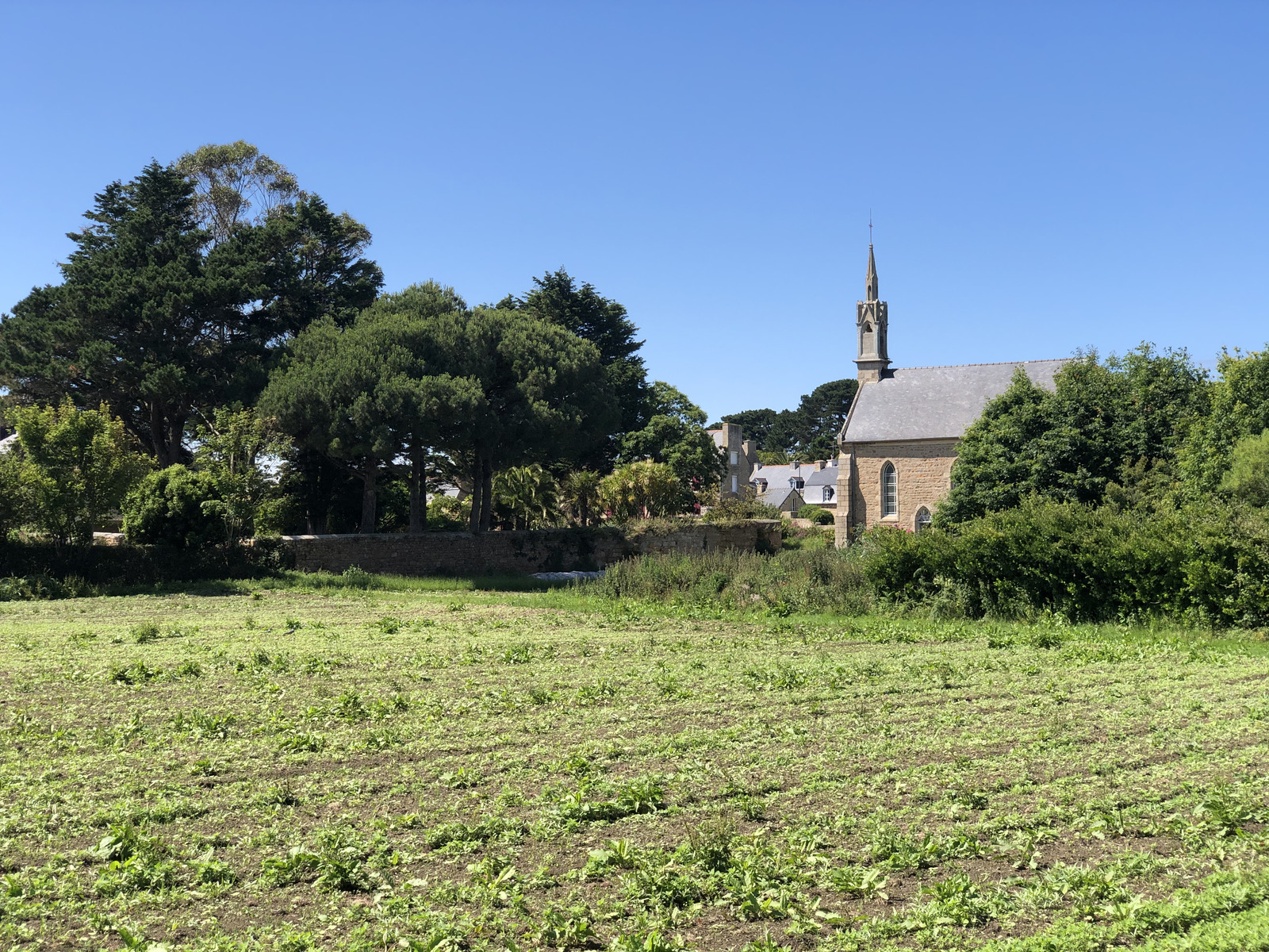 照片 法国(France) 布雷阿岛(Brehat Island) 2020-06 162