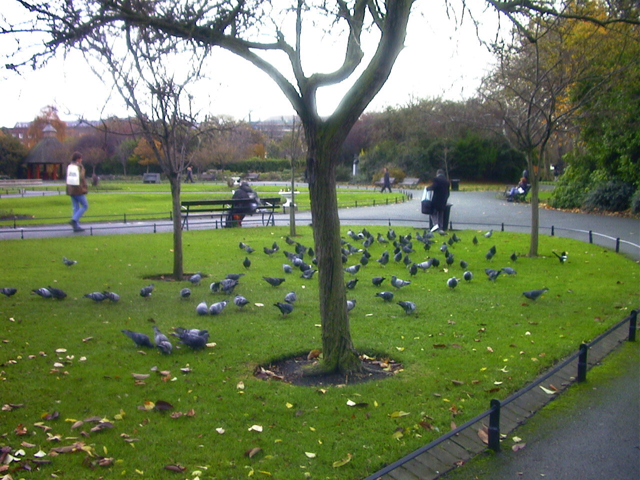 照片 爱尔兰(Ireland) 都柏林(Dublin) 2000-11 3