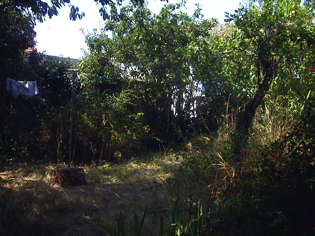 照片 法国(France) 滨海拉普莱讷(La Plaine sur mer) 1999-07 29