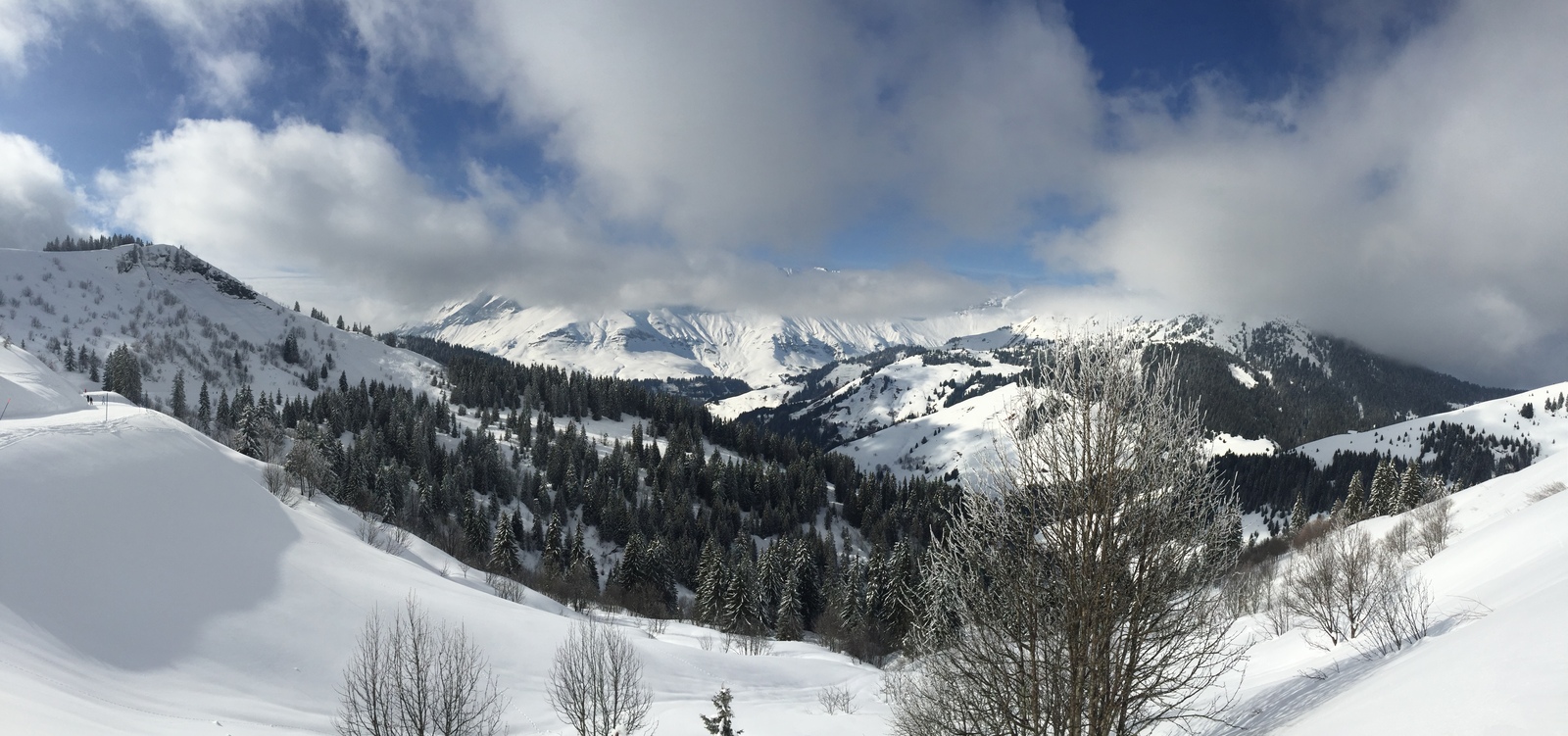 照片 法国(France) 梅杰夫(Megeve) 2016-02 68