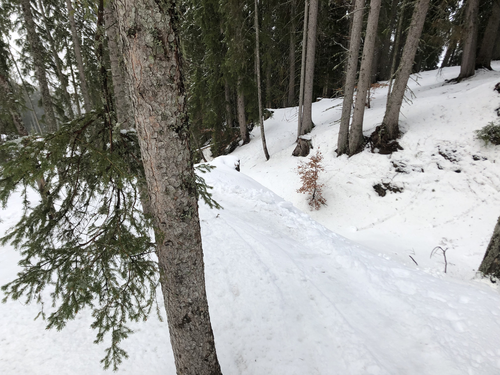 照片 法国(France) 梅杰夫(Megeve) 2019-03 66