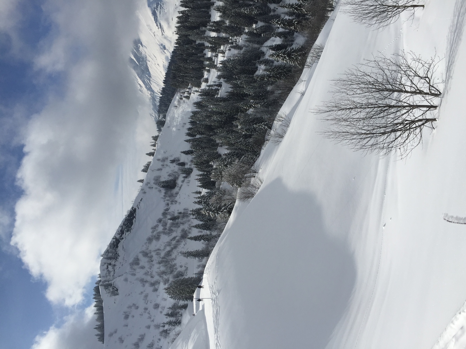 照片 法国(France) 梅杰夫(Megeve) 2016-02 76