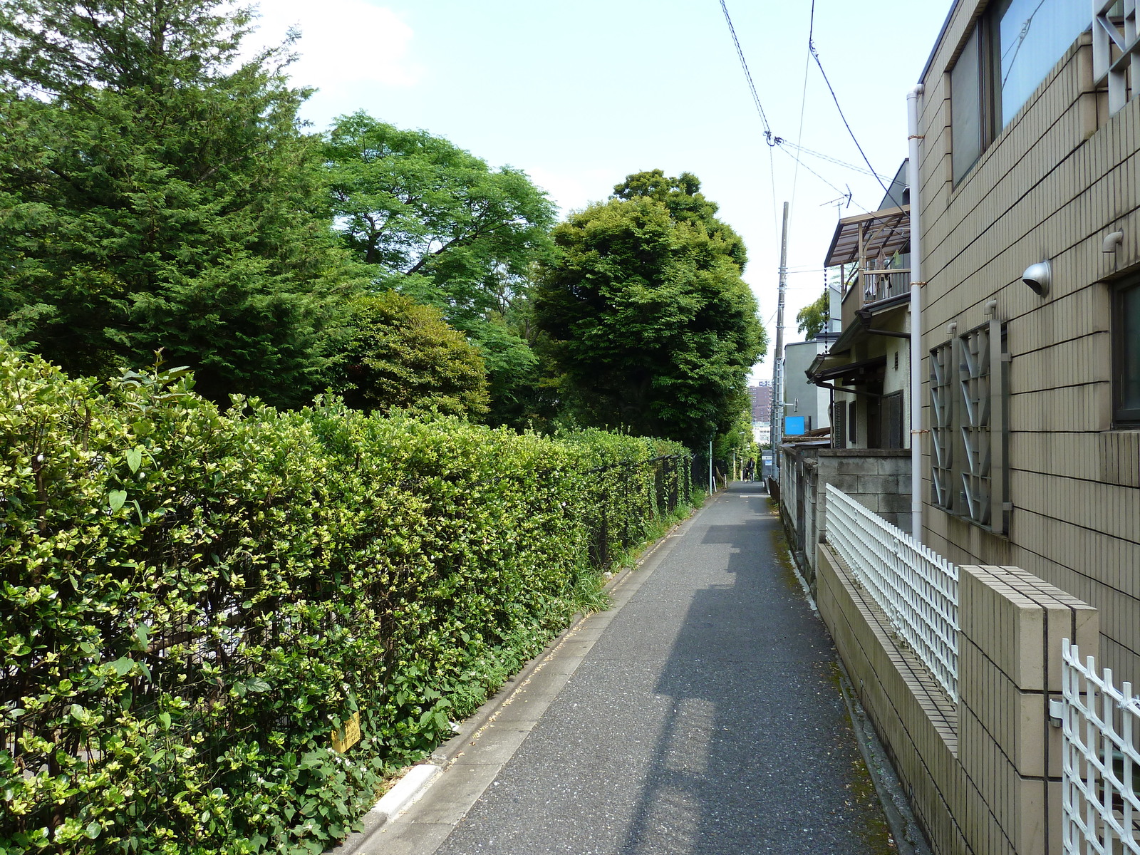 照片 日本(Japan) 东京(Tokyo) 表参道(Omotesando) 2010-06 7