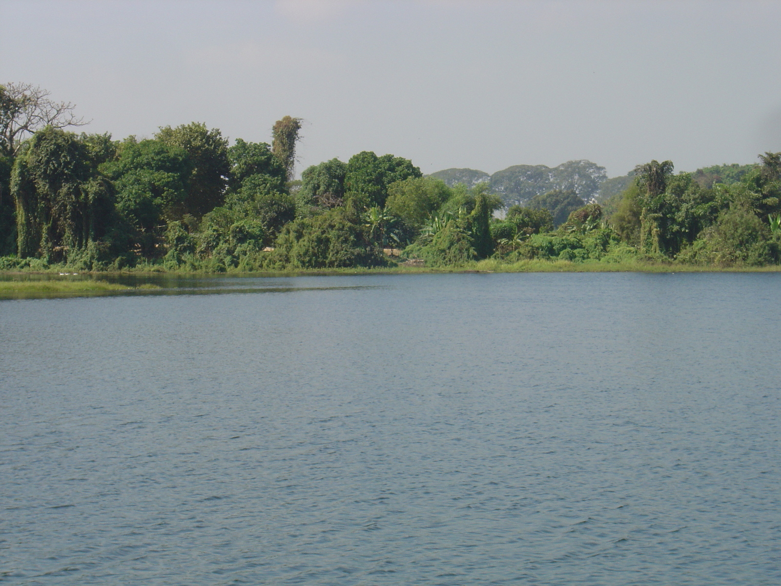 照片 缅甸(Myanmar) 仰光(Yangon) 茵雅湖都喜酒店(Dusit Inya Lake Hotel) 2005-01 16