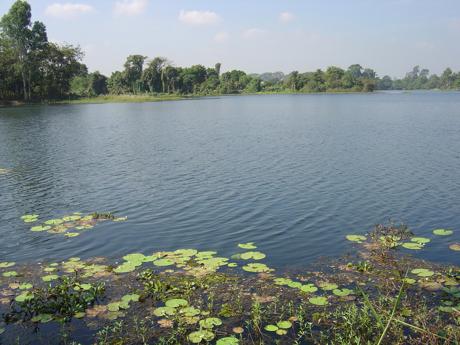照片 缅甸(Myanmar) 仰光(Yangon) 茵雅湖都喜酒店(Dusit Inya Lake Hotel) 2005-01 12