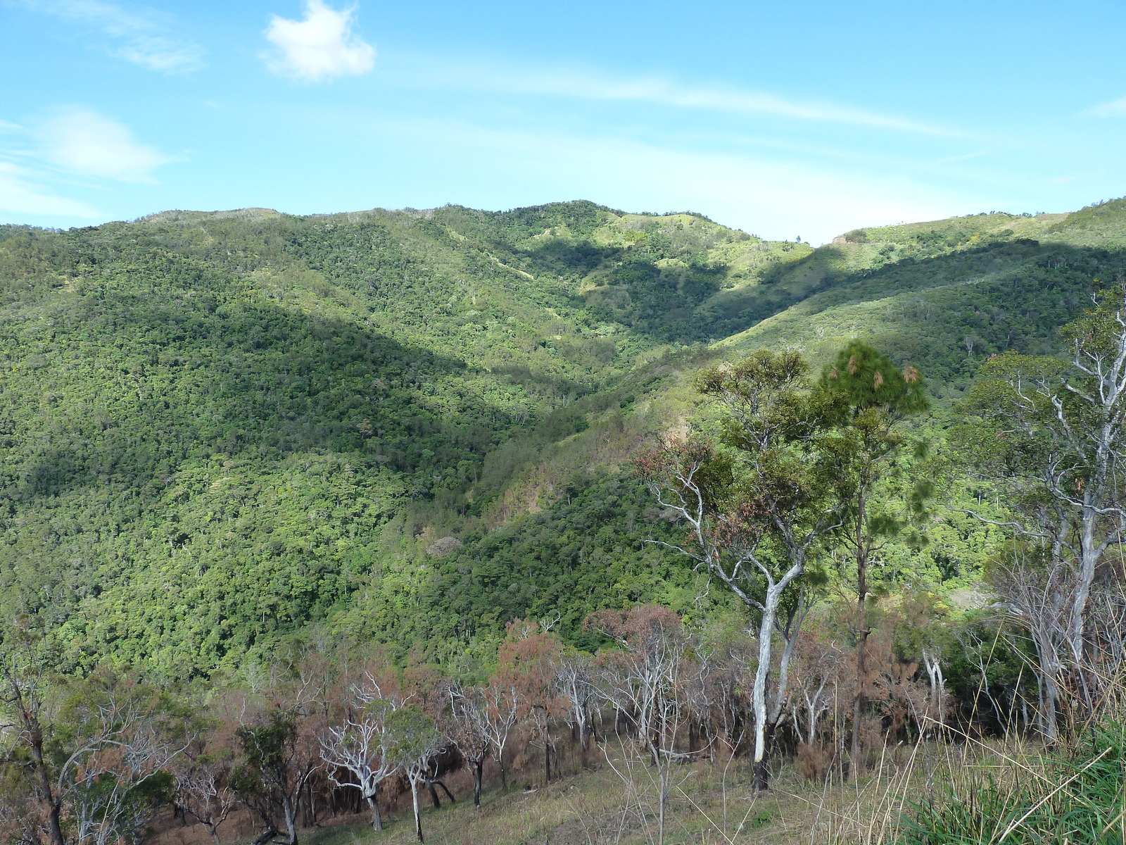 照片 新喀里多尼亚(New Caledonia) 蒂奥至卡纳拉公路(Thio to Canala road) 2010-05 69