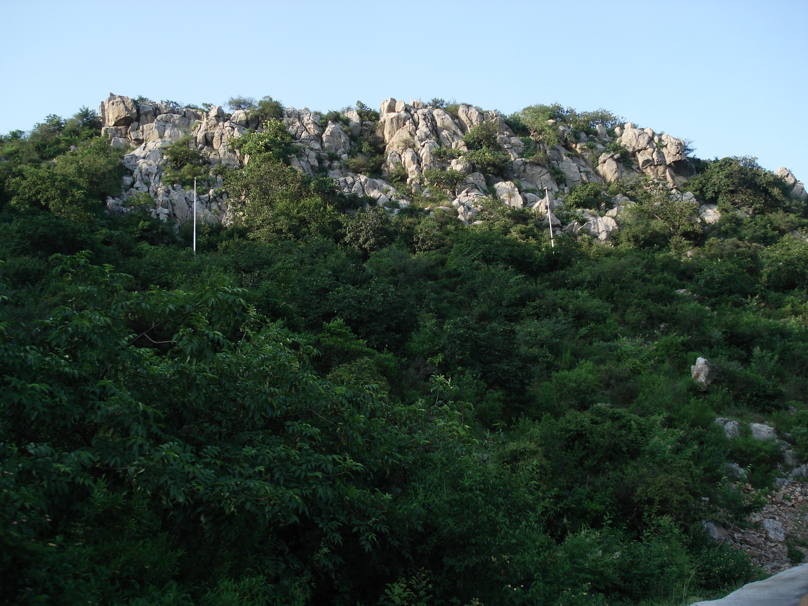 照片 巴基斯坦(Pakistan) 伊斯兰堡(Islamabad) 2006-08 60