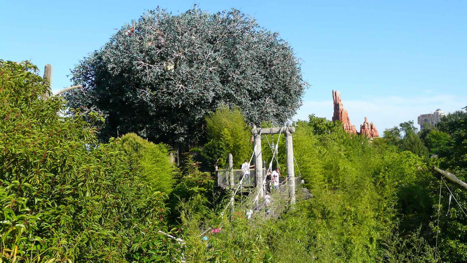 照片 法国(France) 巴黎迪士尼乐园(Disneyland Paris) 鲁滨逊树屋(La Cabane des Robinson) 2007-07 1
