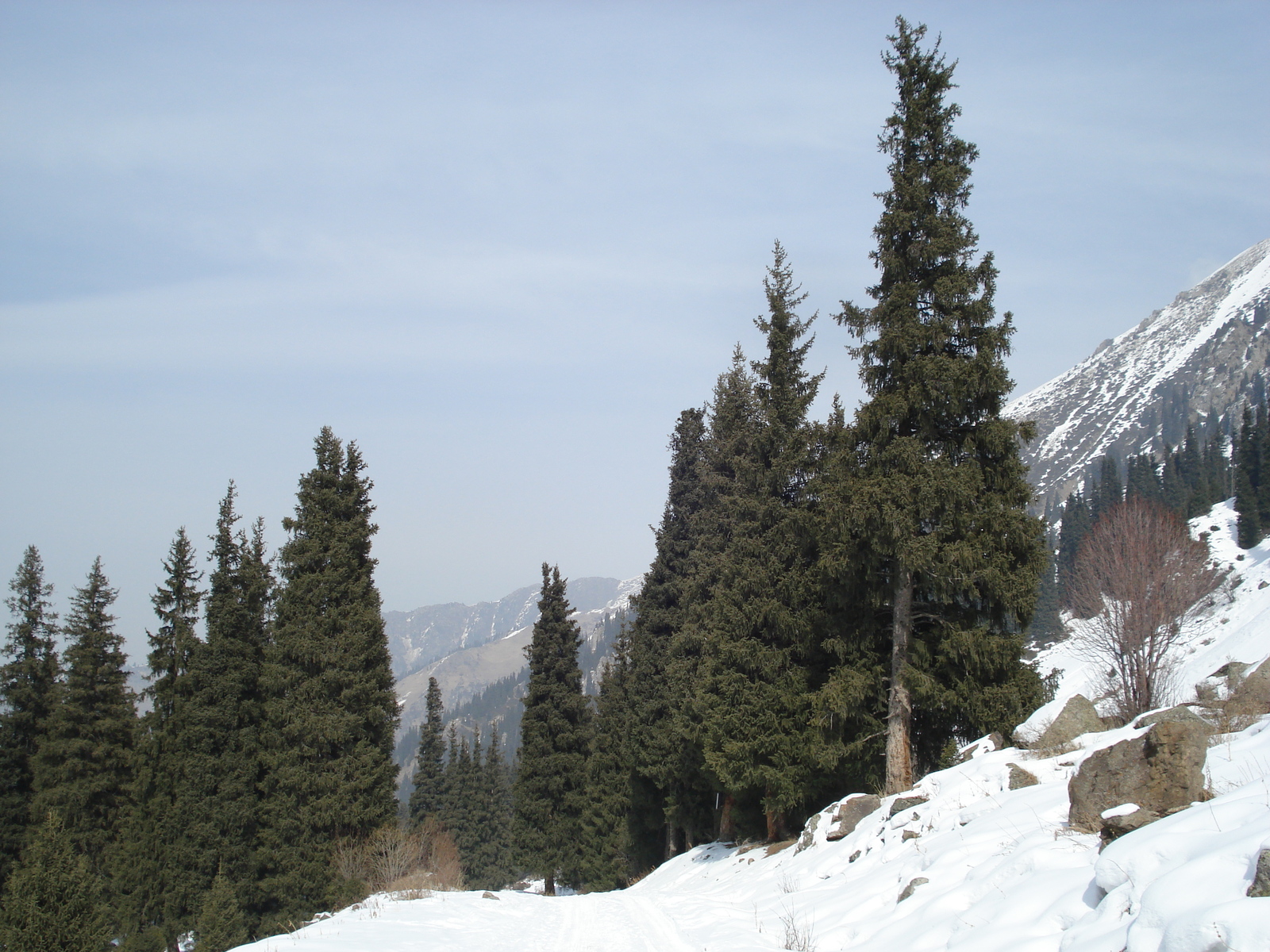 照片 哈萨克斯坦(Kazakhstan) 琼布拉克(Shymbulak) 2007-03 117