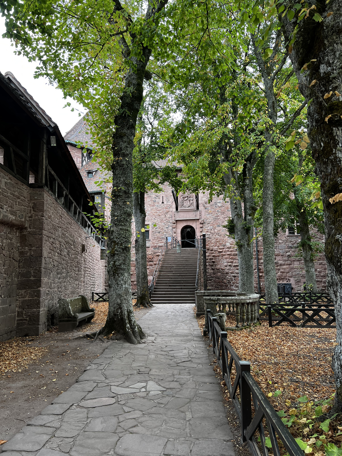 照片 法国(France) 上国王堡(Koenigsbourg Castle) 2023-10 88