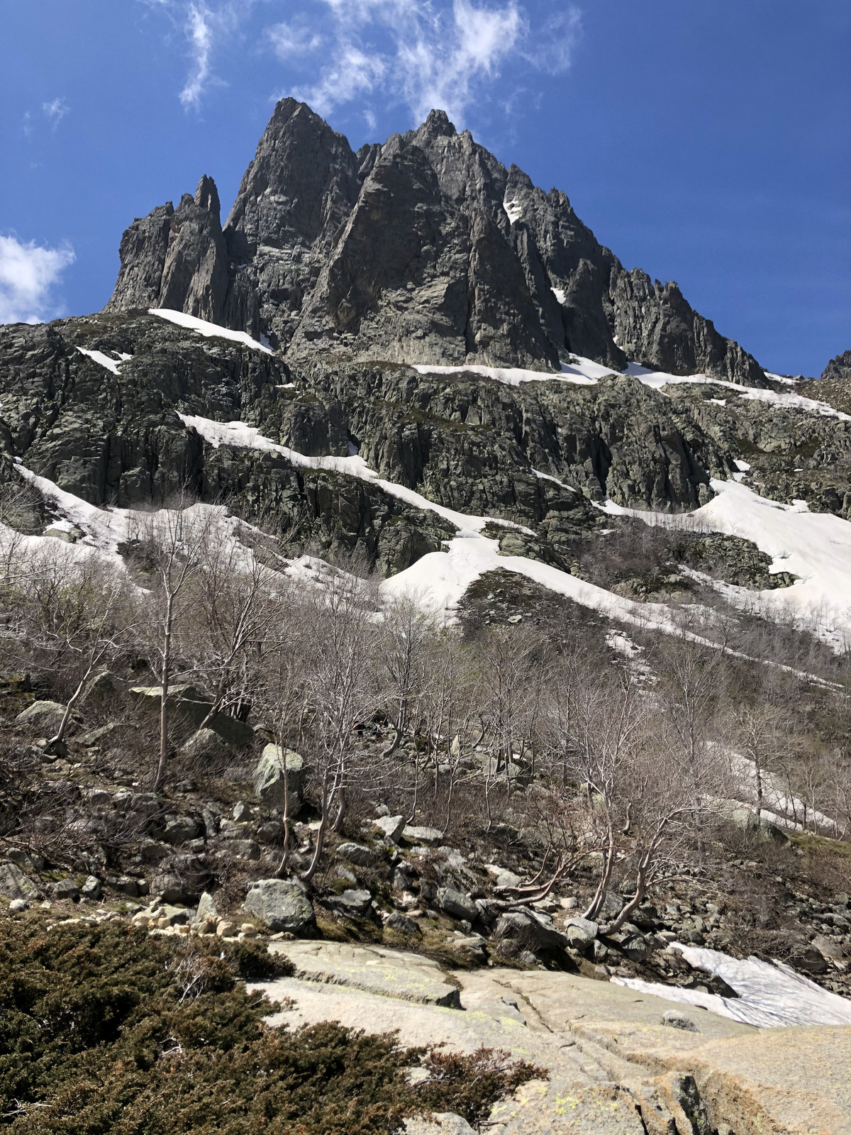 照片 法国(France) 科西嘉岛(Corsica) 梅洛湖和卡皮泰洛湖(Lac de Melo et Capitello) 2021-06 250