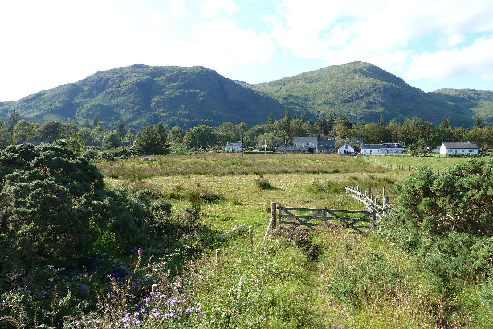 照片 英国(United Kingdom) 苏格兰(Scotland) 林尼湖(Loch Linnhe) 2011-07 39