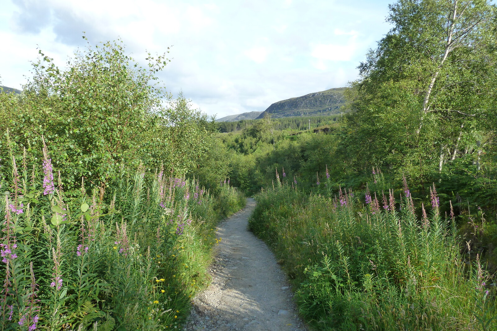 照片 英国(United Kingdom) 韦斯特罗斯(Wester Ross) 2011-07 31