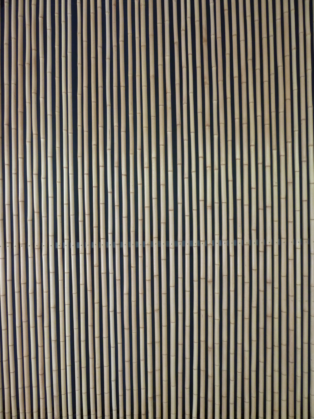 照片 日本(Japan) 东京(Tokyo) 根津美术馆(Nezu Museum) 2010-06 6