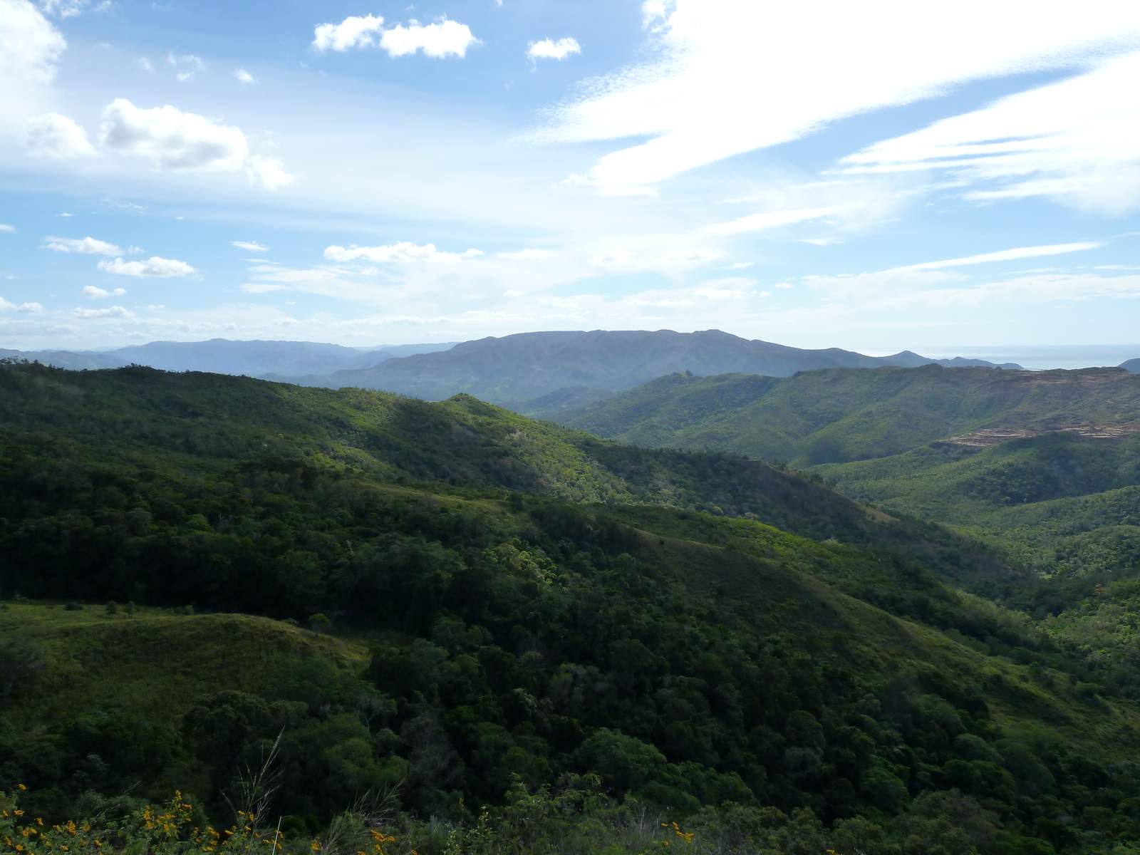 照片 新喀里多尼亚(New Caledonia) 蒂奥至卡纳拉公路(Thio to Canala road) 2010-05 8